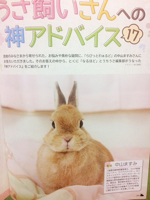 うさぎのラビちゃんのご紹介 Lavi 岩本羅美オフィシャルウェブサイト