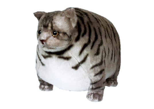 ふとっちぃZoo | 商品カテゴリー | 株式会社リード