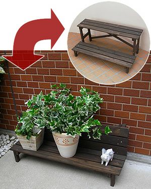 000000000986-01.jpg?size=l&w=