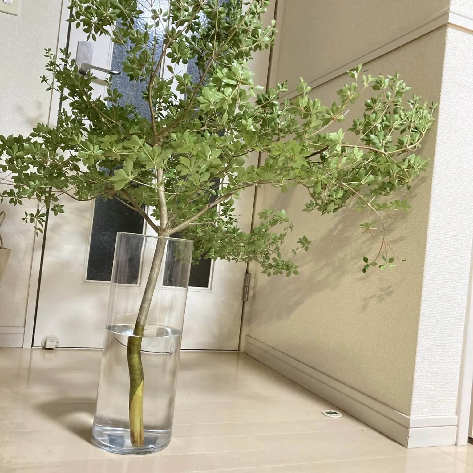 ニトリ「買ってよかった！」3選】暮らし上手の3人が今年購入した