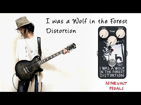 Animals Pedal - I Was A Wolf In The Forest Distortion – LEP