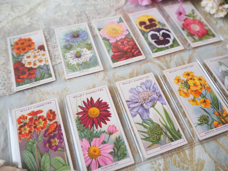 シガレットカード/花シリーズ/10枚セット/31~40 carte・カード