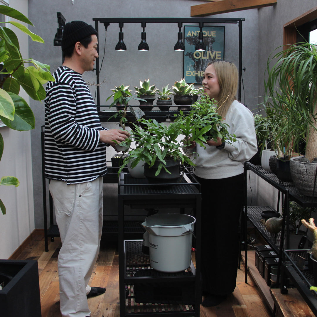 可動式水受けトレー付き植物棚スターターセット