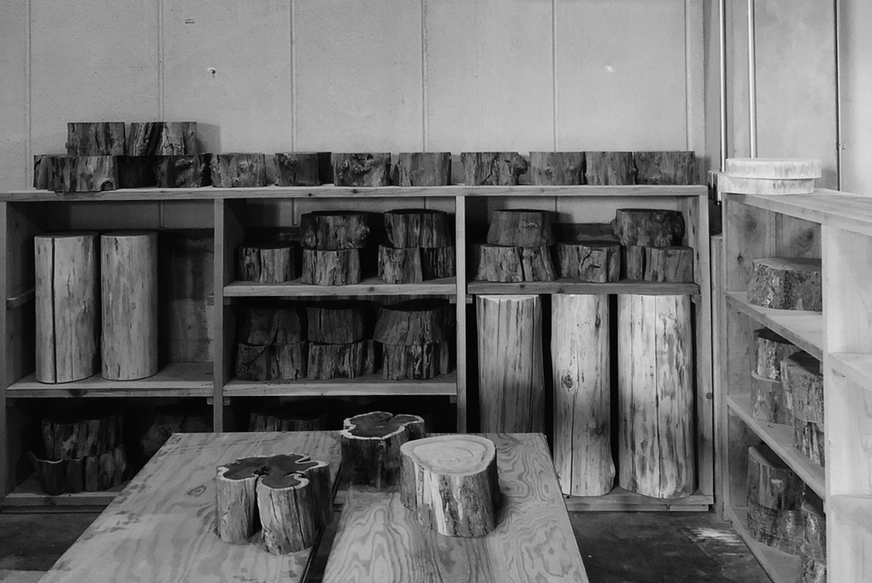 TIMBER CREW - LINE-PRODUCTS