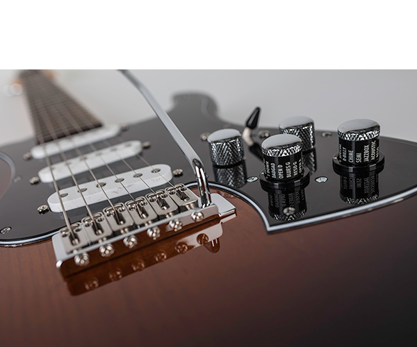 Variax Standard - ギター - Line 6 Japan