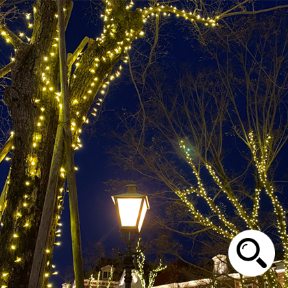 新モデル/1年間保証）LEDイルミネーションライト ストリングライト 100