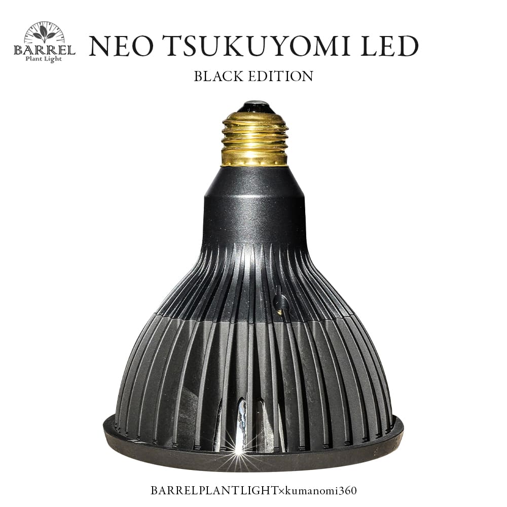 TSUKUYOMI LED 20W BLACK EDITION（ツクヨミLED ブラックエディション
