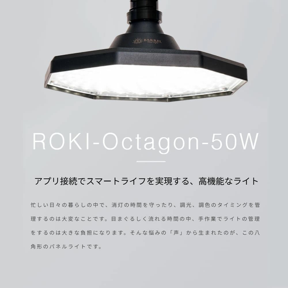 ROKI-Octagon-50W（ロキ オクタゴン 50W） – linkplants -リンクプランツ-