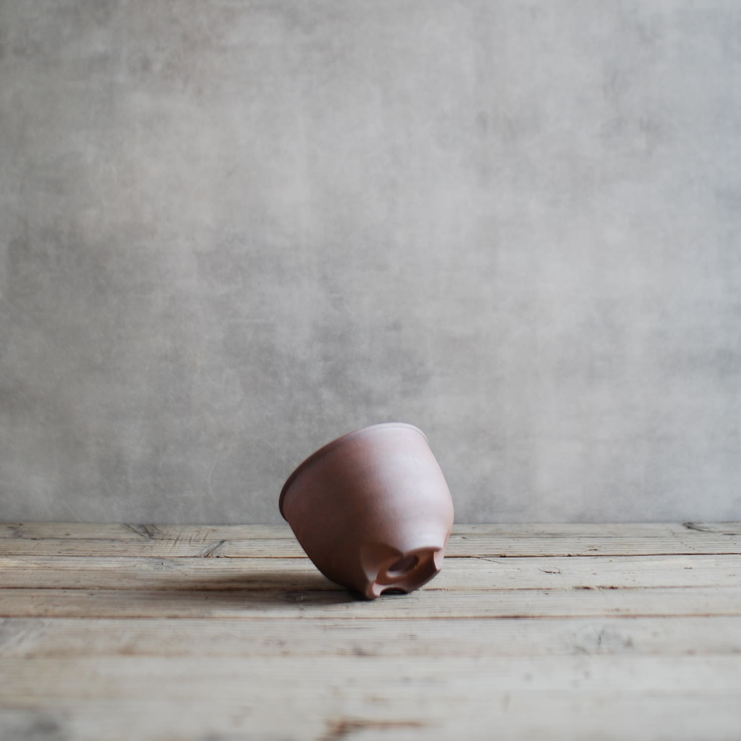 伝市鉢 コウロ型（サクラソウ型）素焼き 3号 – linkplants -リンク