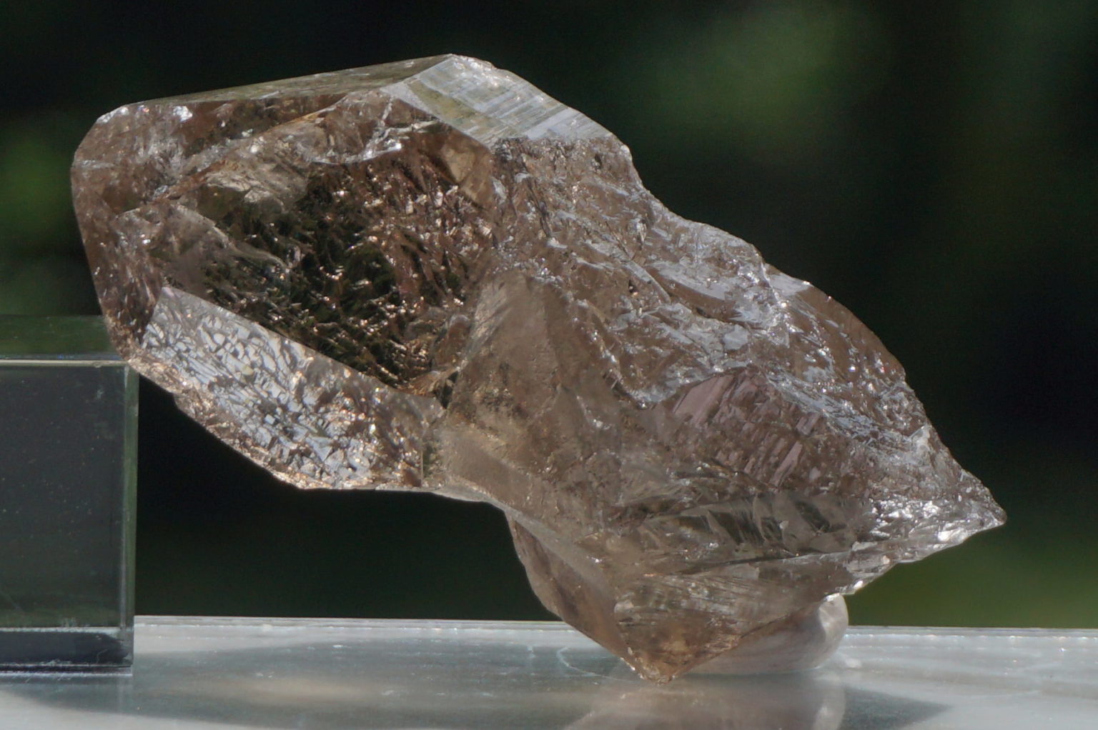 スイス アルプス産 スモーキークォーツ【希少】 - リアファル