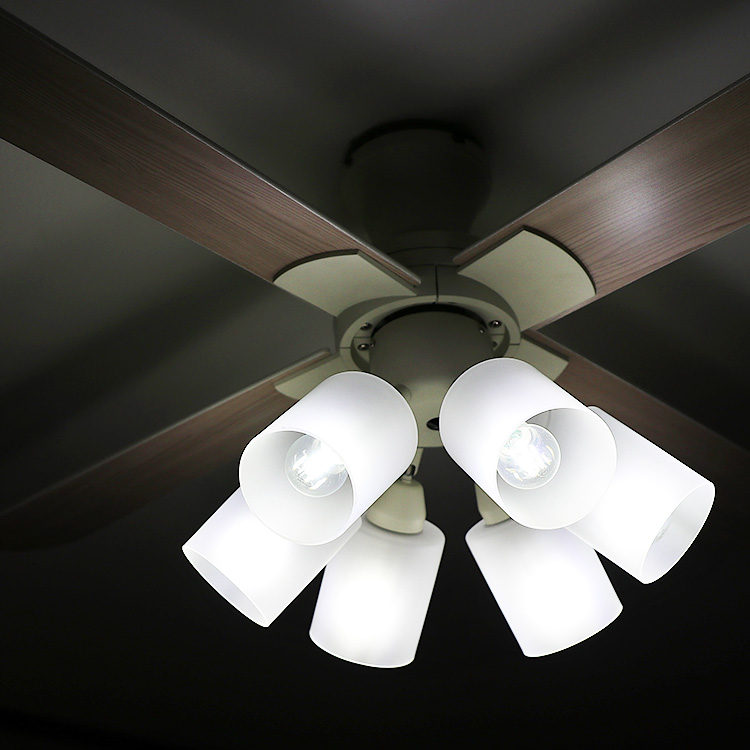 Modern Collection シーリングファン 6灯 JE-CF015 | JAVALO ELF