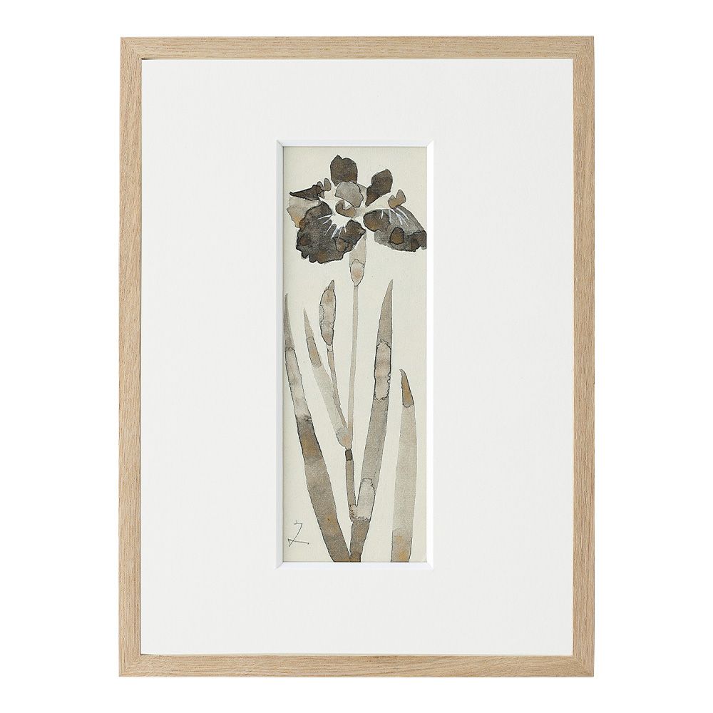 日本画家・堀文子 墨絵の世界『菖蒲』額装｜堀文子の「墨絵」植物画の