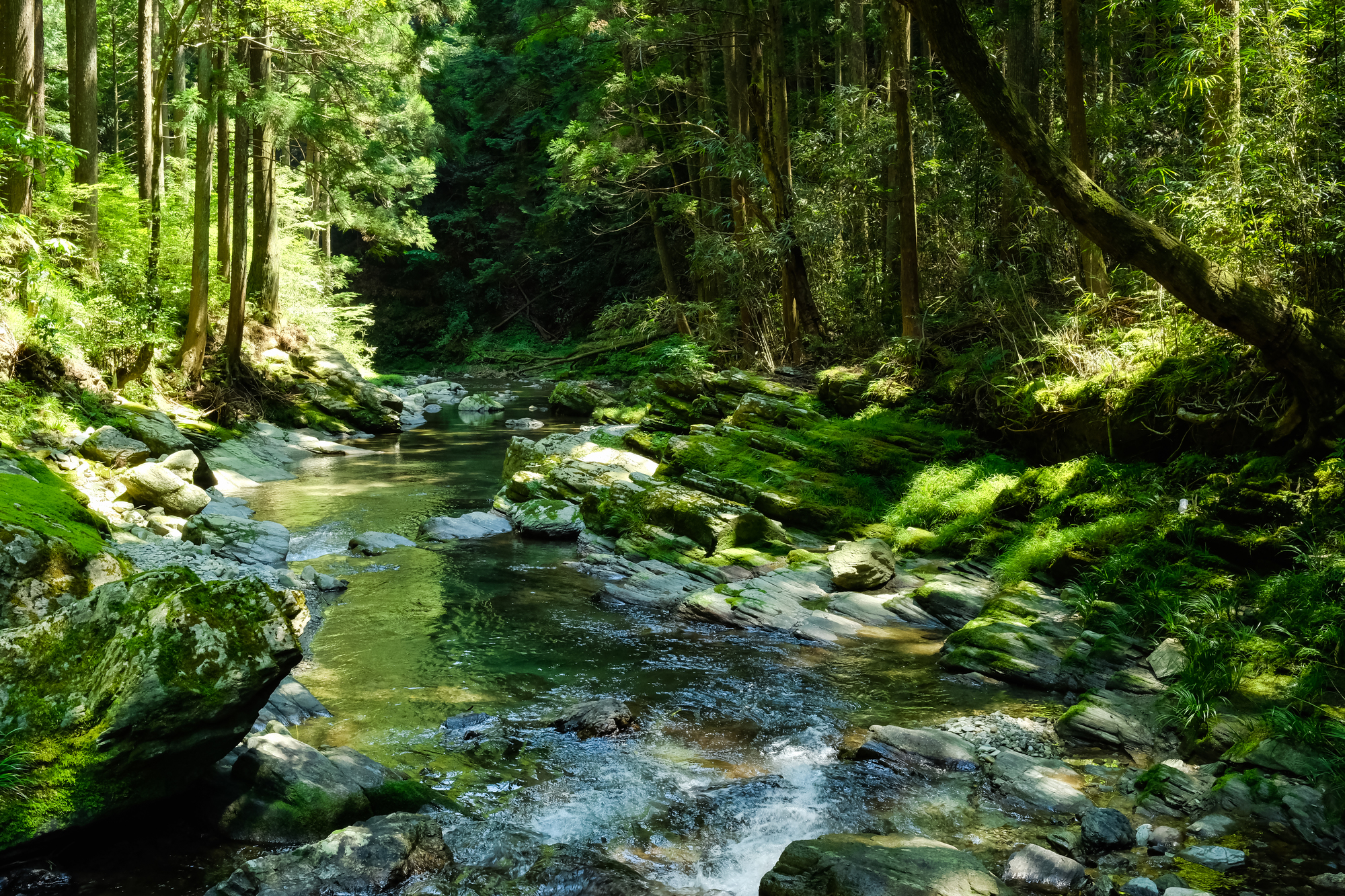 阿多古川(天竜川水系)ライブカメラ一覧 | ライブカメラDB