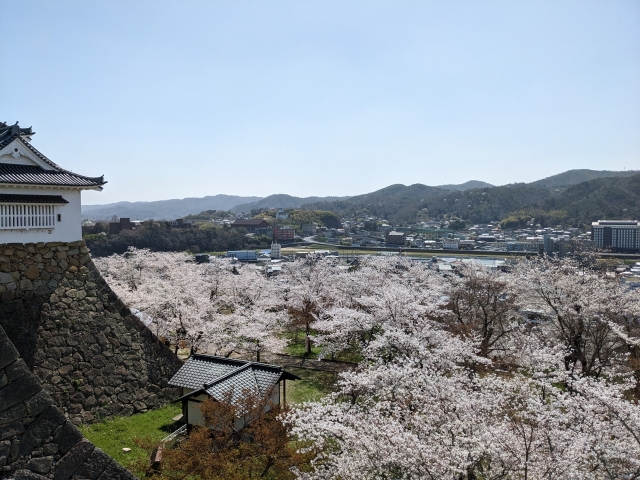 津山城・鶴山公園ライブカメラ | 岡山県津山市山下 | ライブカメラ