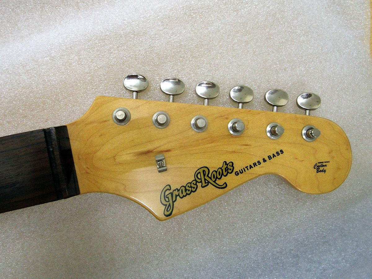 GrassRoots G-SE-50R （グラスルーツ Grass Roots） : My Things