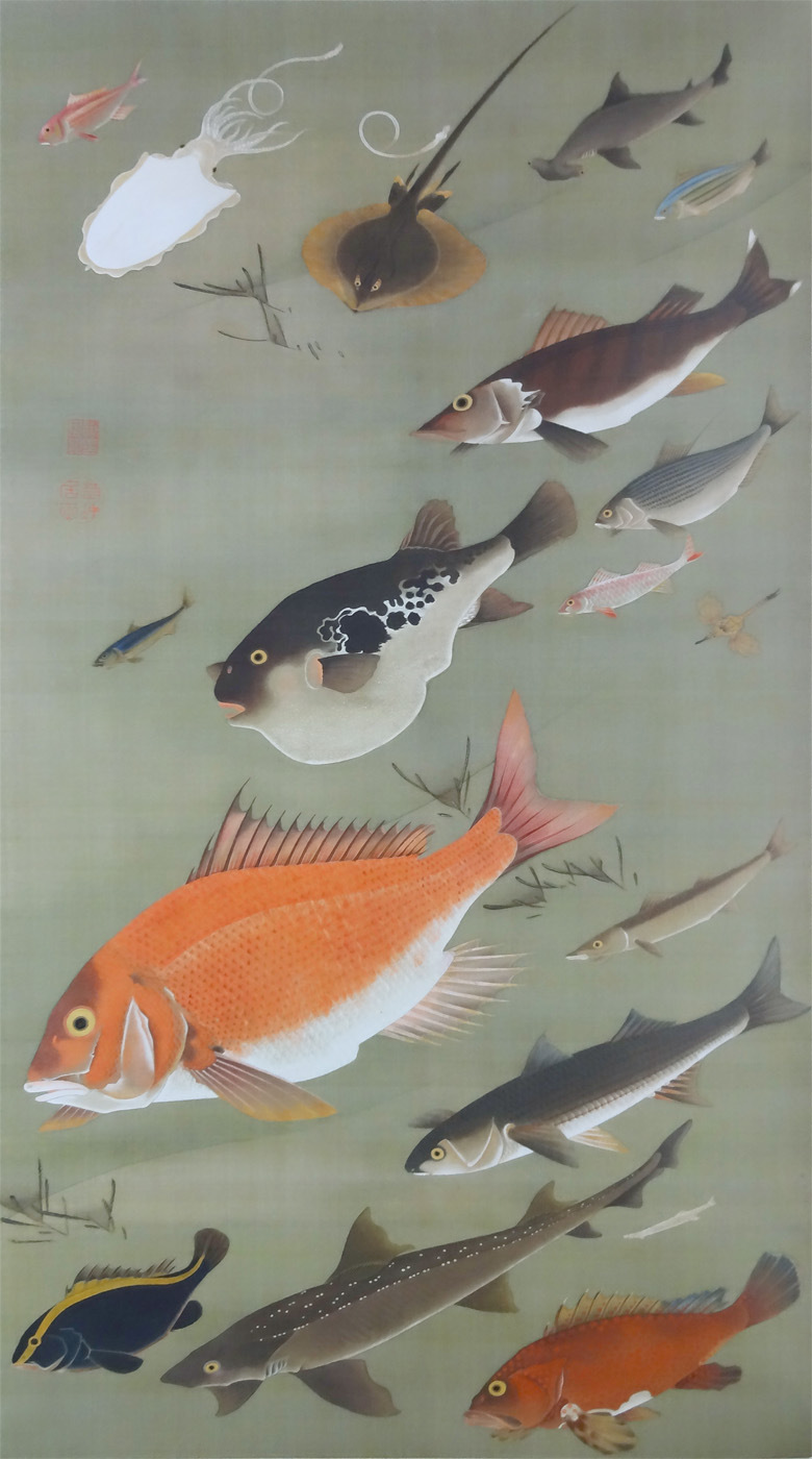 動植綵絵 諸魚図と群魚図｜生誕300年 若冲の水族館 : クラシック音楽と