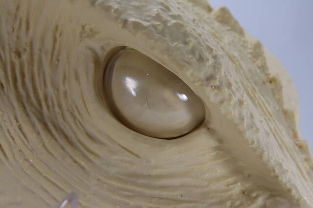 幻の究極造形 ガメラ（1995）ヘッドモデル商品詳細 : CCPJAPAN