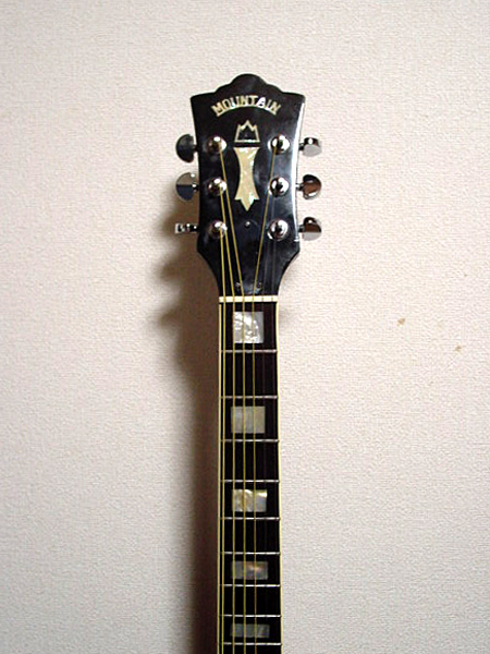 マウンテン ギルドF-50モデル （MOUNTAIN W-450） : ギター・ラボ