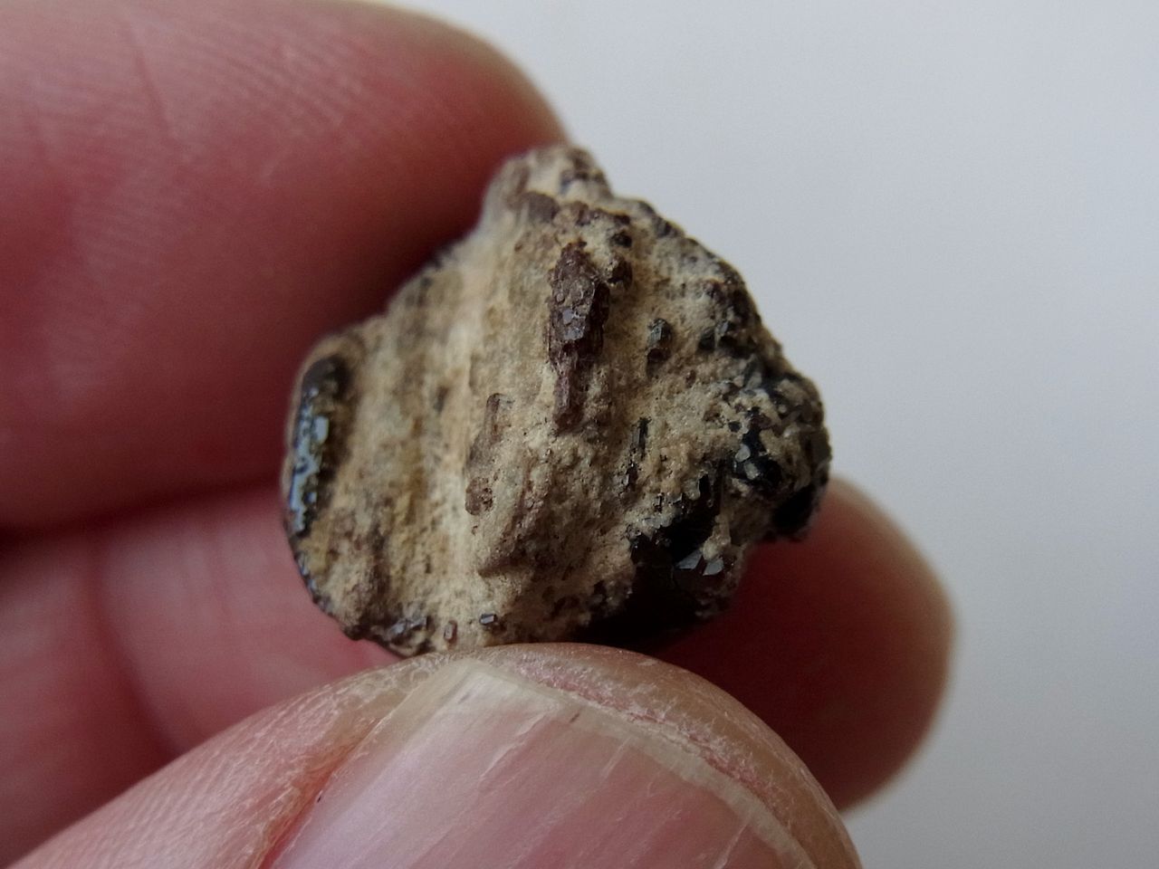 回想録：和田峠の柘榴石 ガーネット : サルナシの掘り掘り日記 ～越後