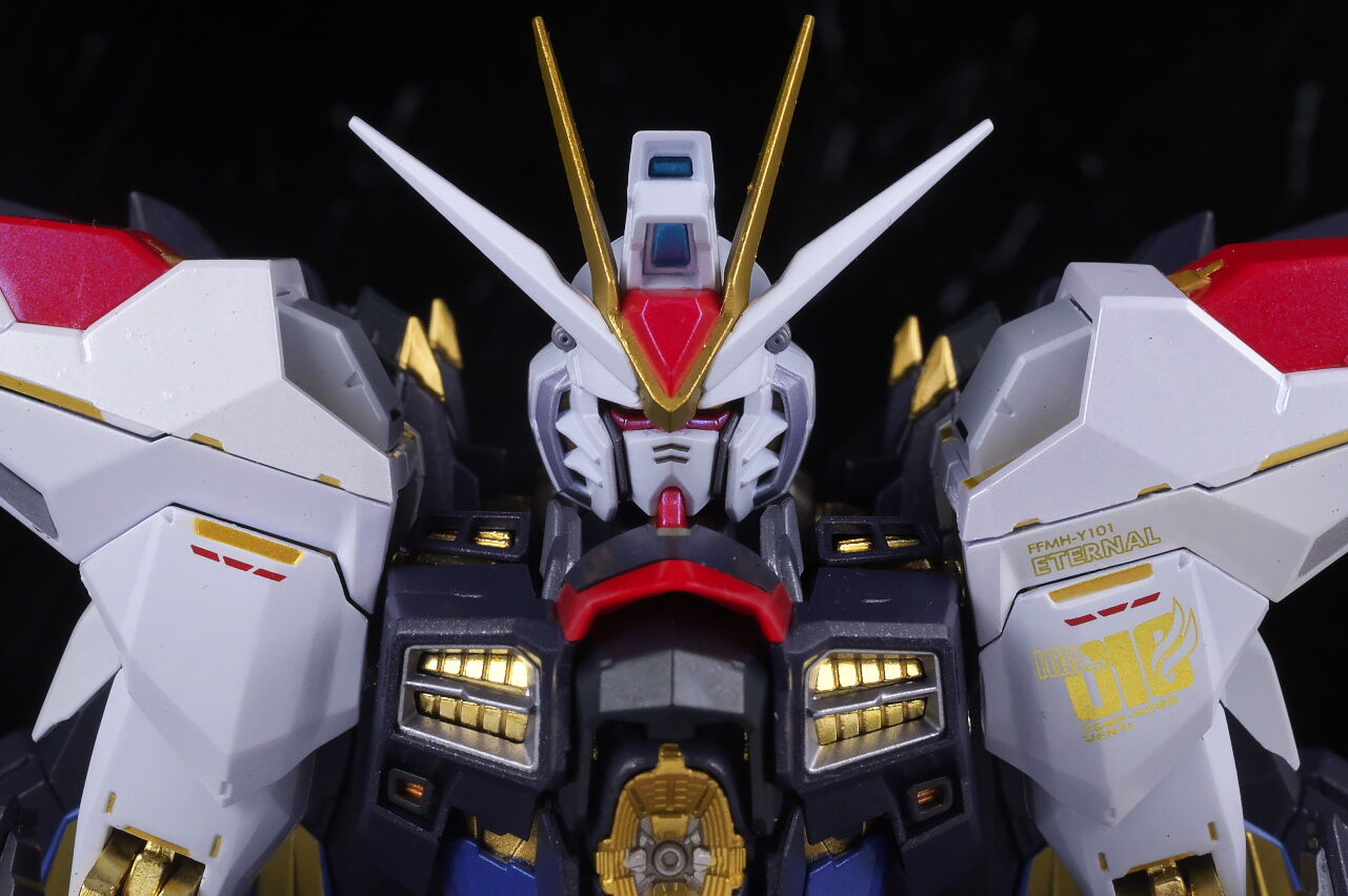 METAL BUILD ストライクフリーダムガンダム [METAL BUILD FESTIVAL