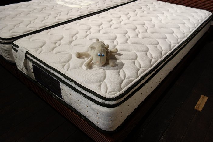 サータ【ペディック60/BOXトップ】F1PとF1N : 住賓館(じゅうひんかん