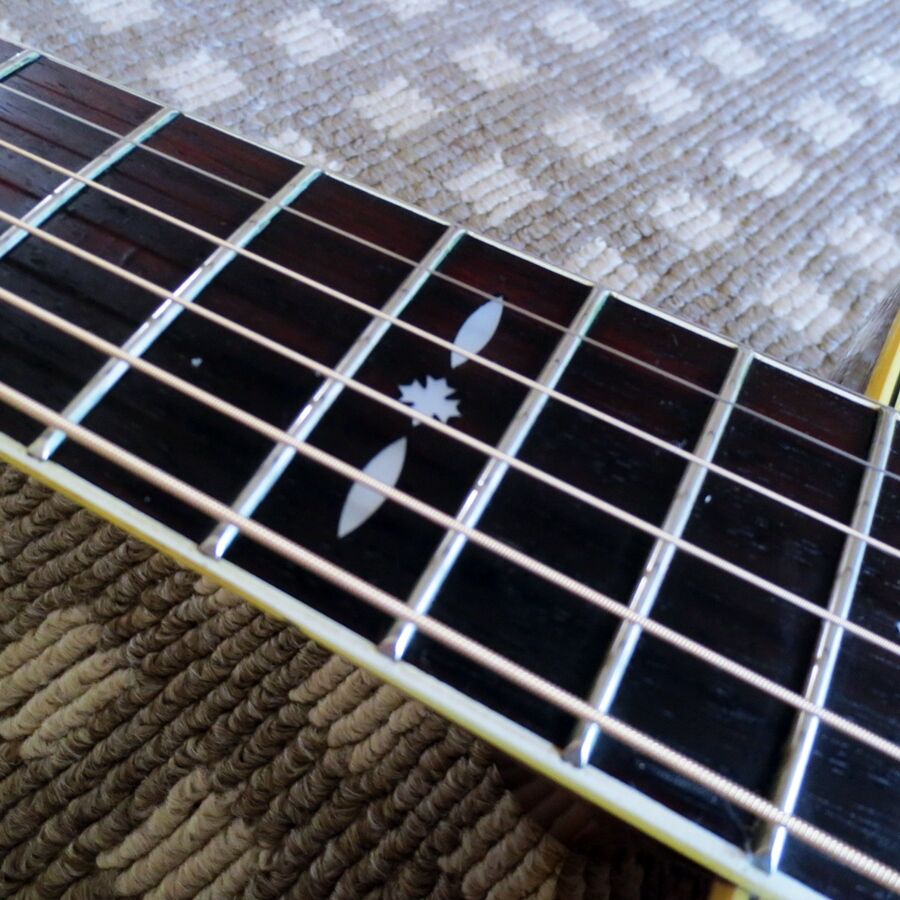 あの東海楽器が誇る1970年代Cat'sEyes CE-300 : おっさんの徒然