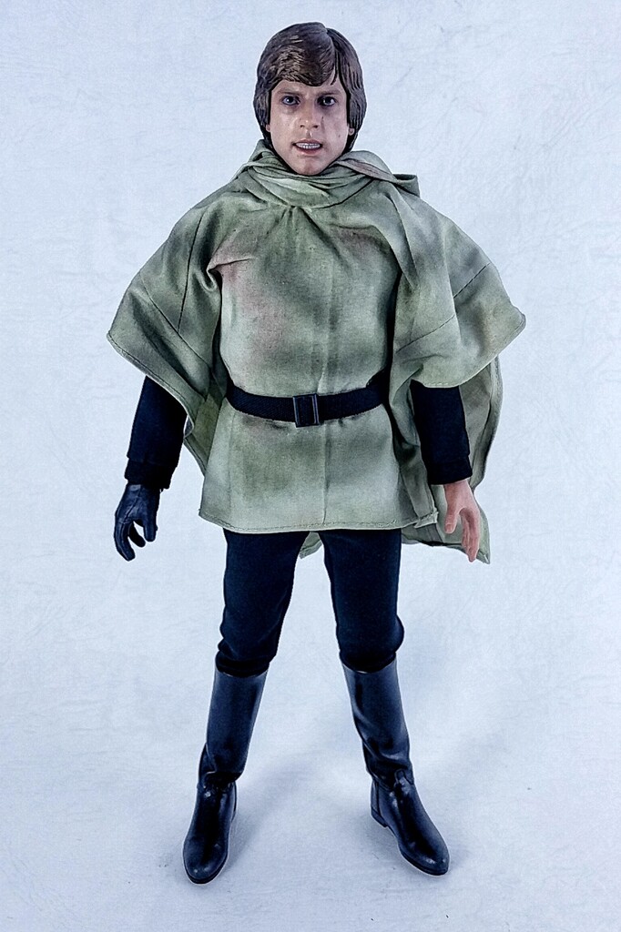 ホットトイズ ルーク・スカイウォーカー(エンドア版) レビュー : える