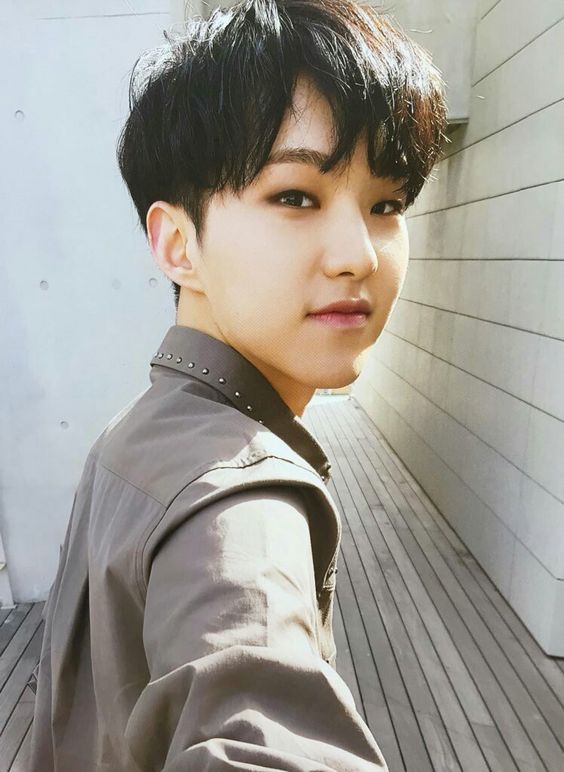 SEVENTEEN (세븐틴)/HOSHI(ホシ) 画像3 : ぴよぴよにっき