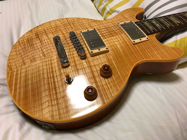 ☆Gibson Les Paul DC Pro : ジナパパ一家の何てことない日常