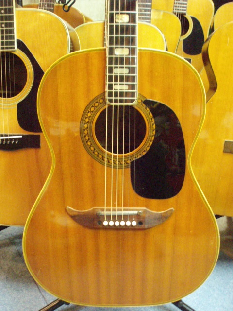 田園？ : 中古楽器屋への道(2） グラスホッパー・ギターズ