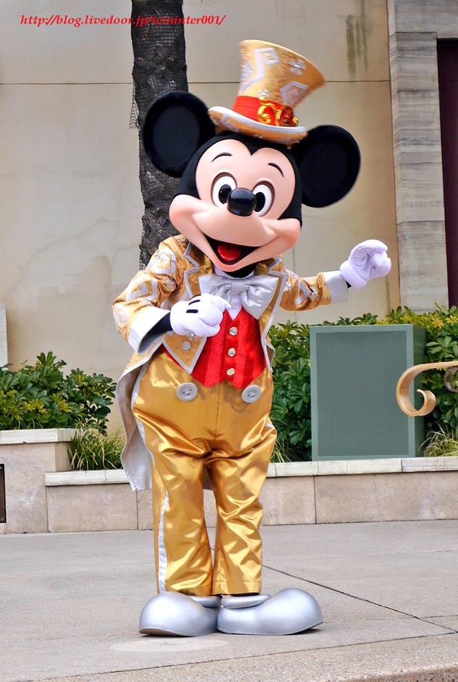 金コス、ハピネス停止…なんだか忙しない冬のTDR…？？ : TDRな