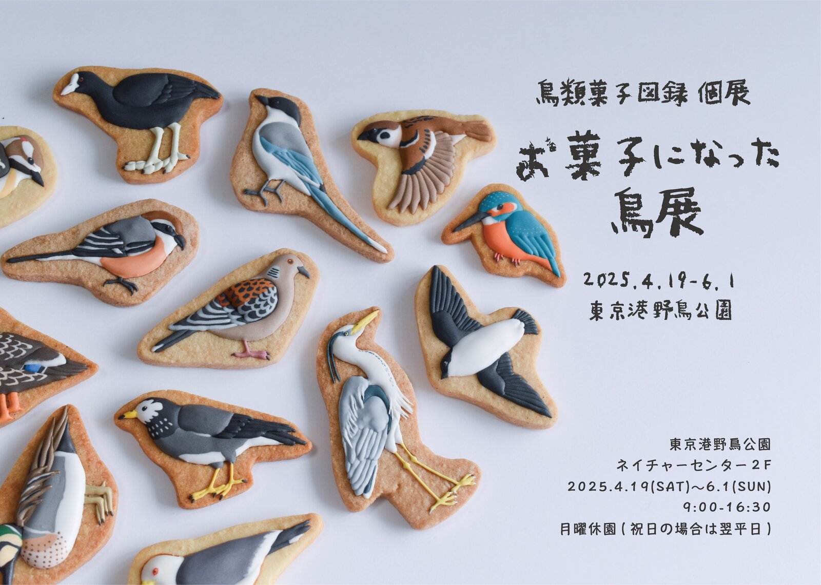 鳥類菓子図録・クッキー販売について : 東京港野鳥公園 レンジャーブログ