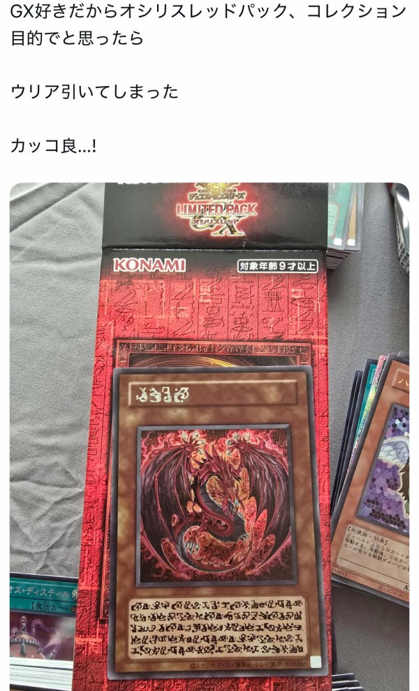 遊戯王 デュエリストカードストレージボックスDXオシリスレッド