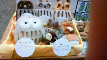 鳥たちのぬいぐるみ新入荷しています : ミュージアムショップブログ