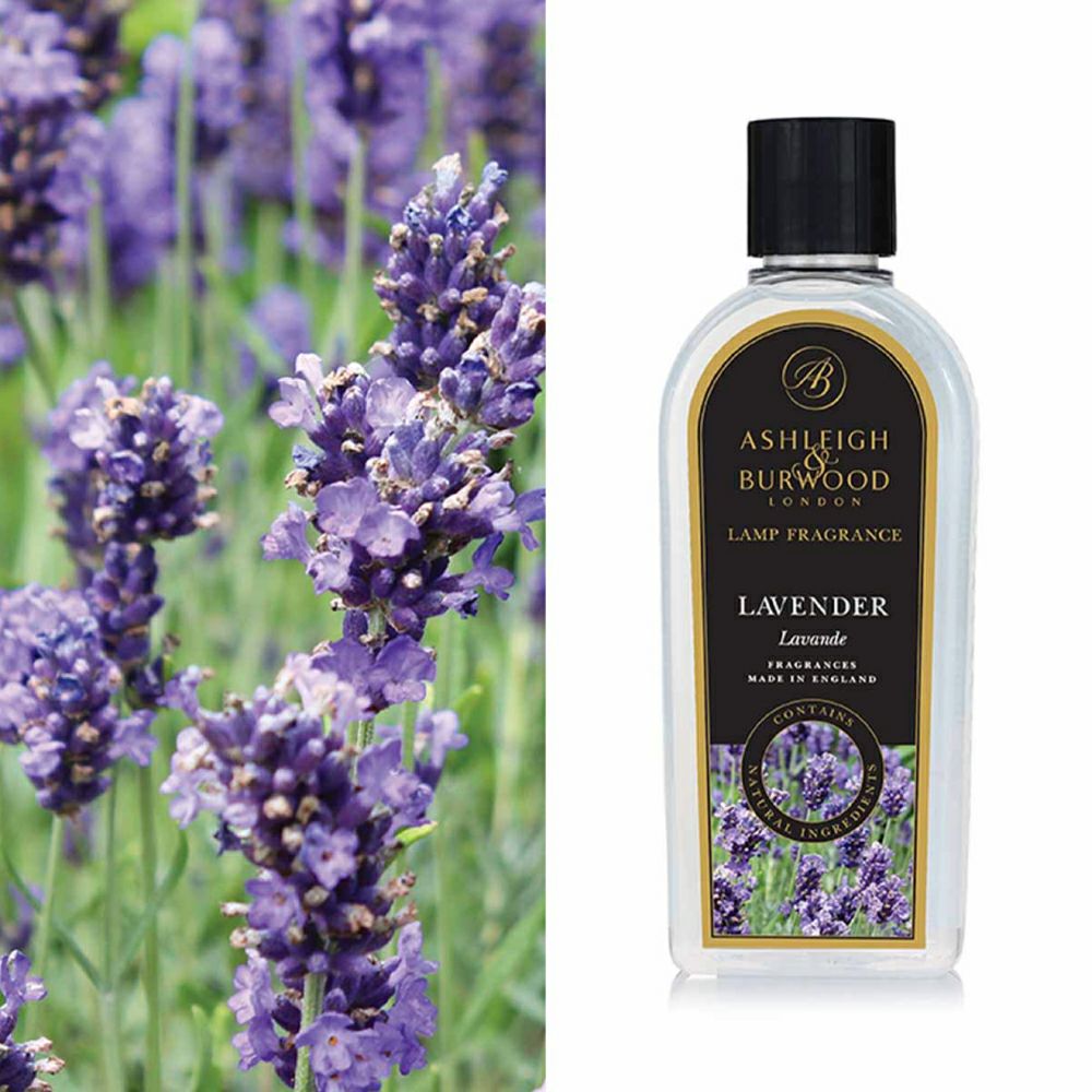 000000000081-01.jpg?size=m&w=