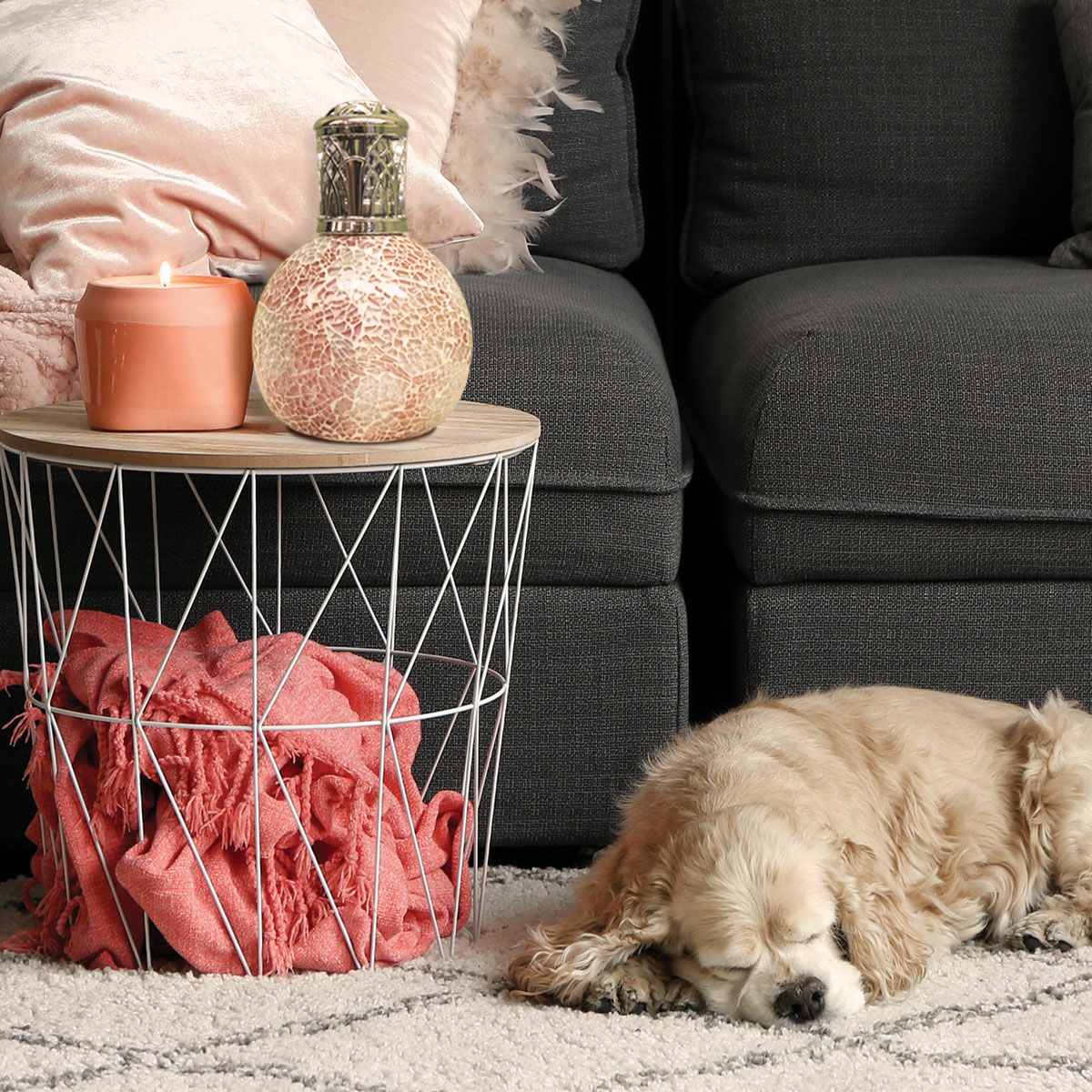 フレグランスランプL フロスティッドブルーム ASHLEIGH&BURWOOD