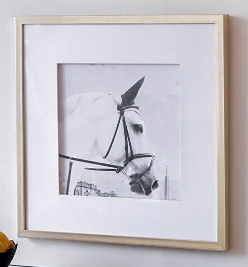 輸入雑貨 アートフレーム 額絵 2枚セット 馬 クラシックモダン