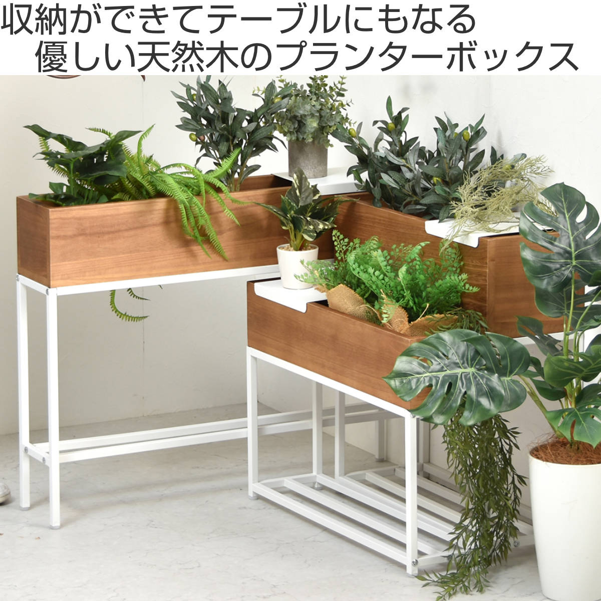 dショッピング |プランタースタンド Lid プランターボックス 幅60cm