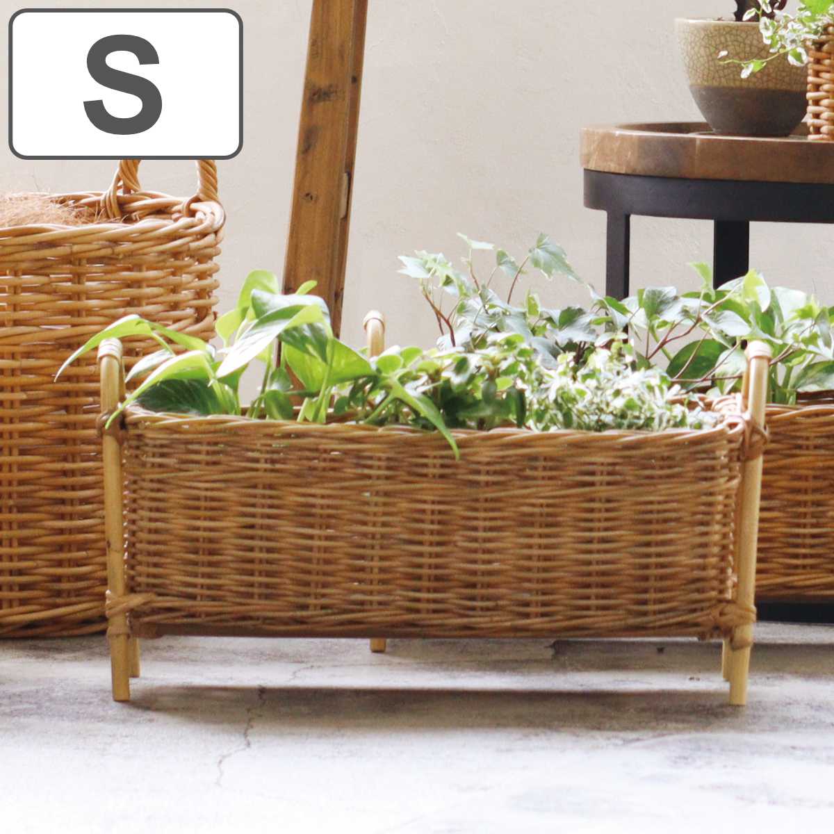 プランタースタンド ロング L アラログ （ かご カゴ ラタン 天然素材