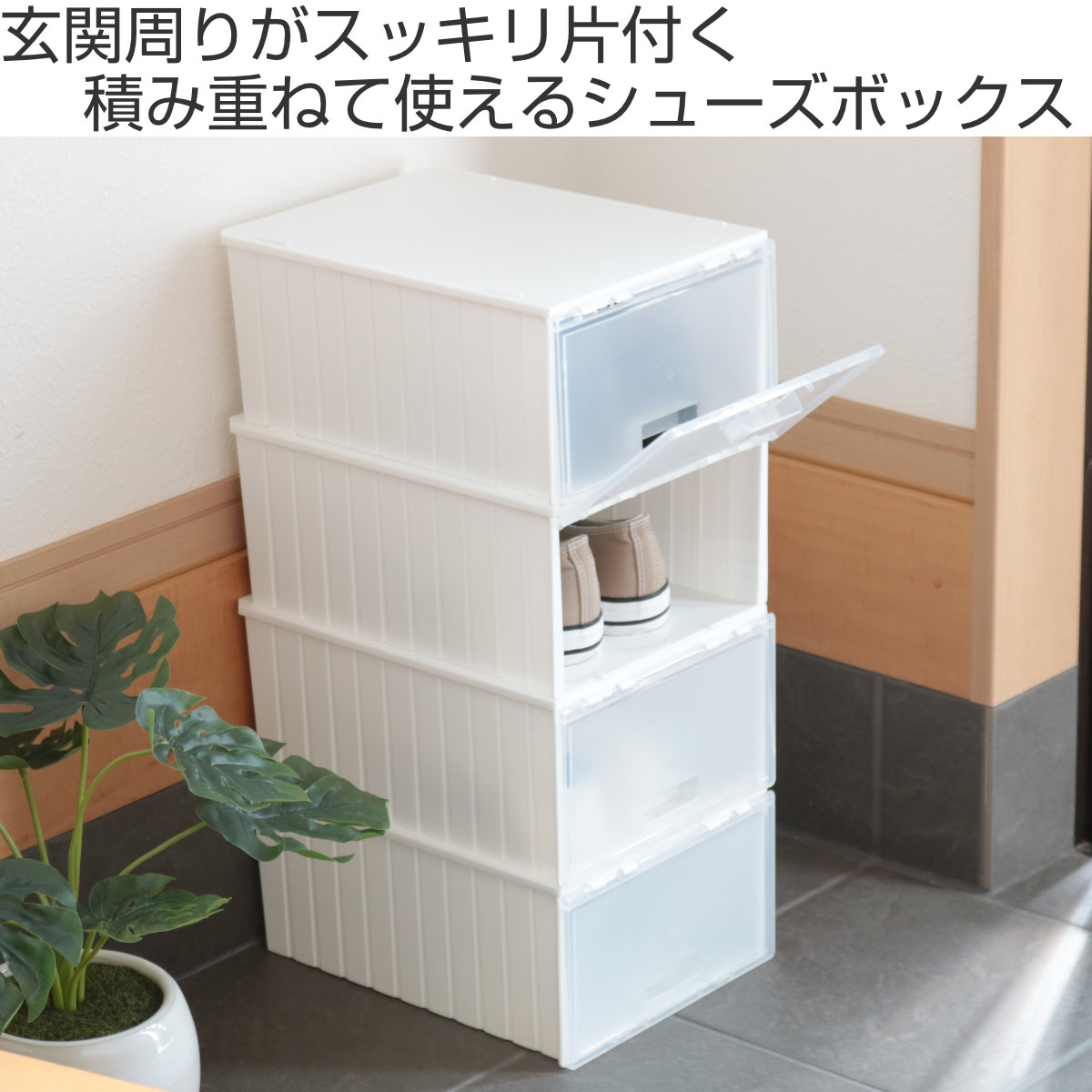 dショッピング |靴箱 シューズボックス i-Zucc 2個セット （ 靴 収納