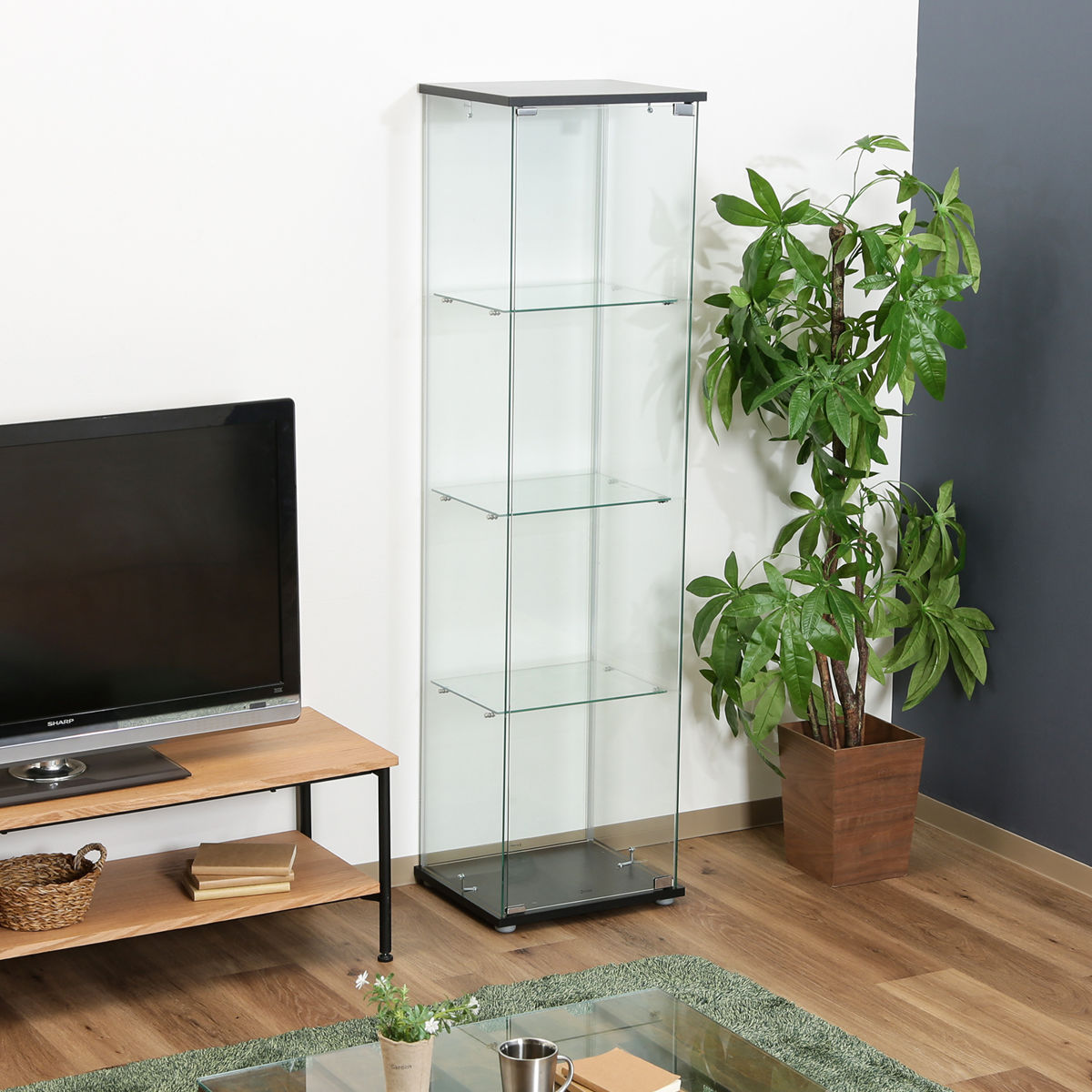 dショッピング |コレクションケース 4段 幅42.5cm 4面ガラス ショー