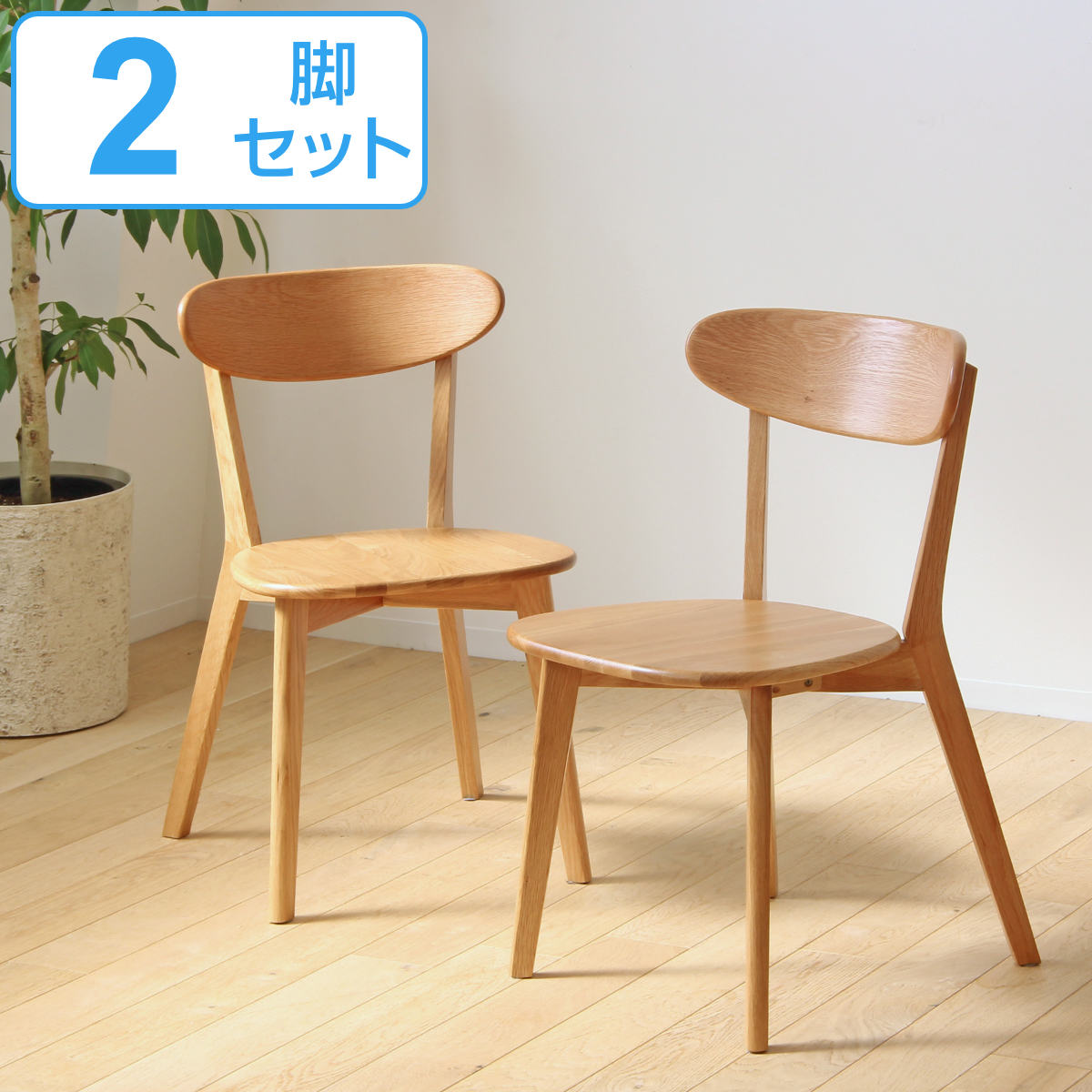 ダイニングチェア 2脚セット 座面高43cm リバー 木製 天然木