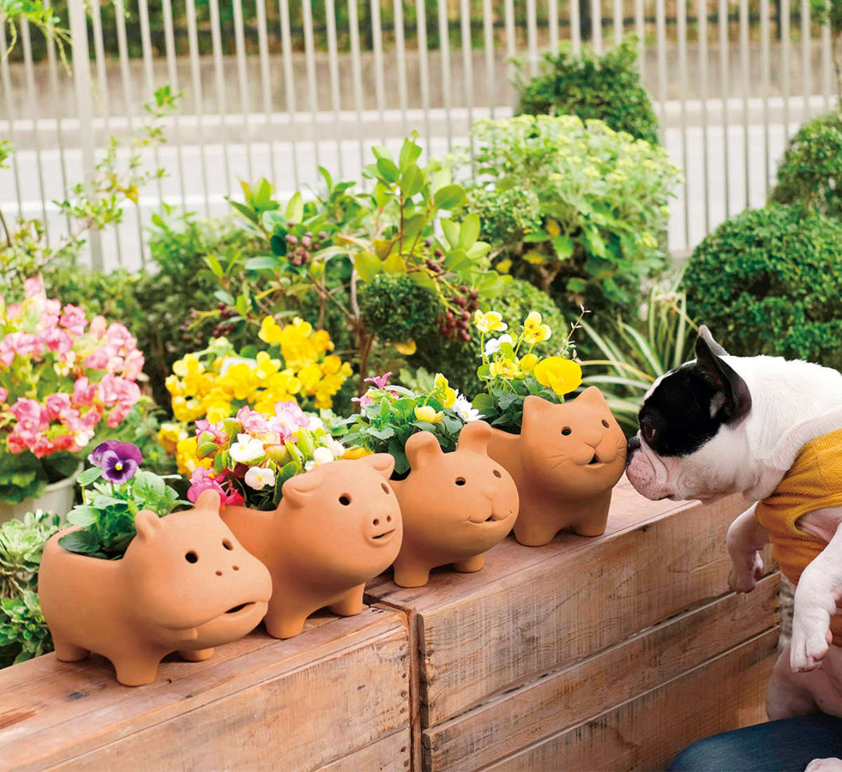 プランター アニマルテラコッタポット ネコ 3号 （ 植木鉢 プラント