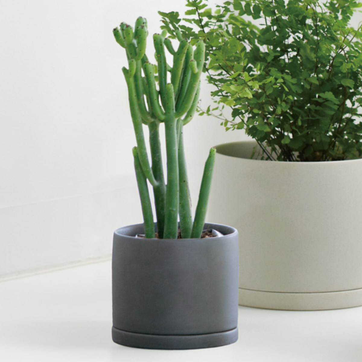 KINTO キントー プラントポット 191_ 85mm （ プランター 8.5cm 磁器