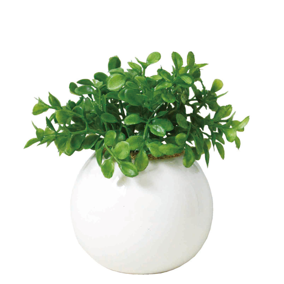 フェイクグリーン ラウンドポットL 卓上 （ 人工観葉植物 光触媒