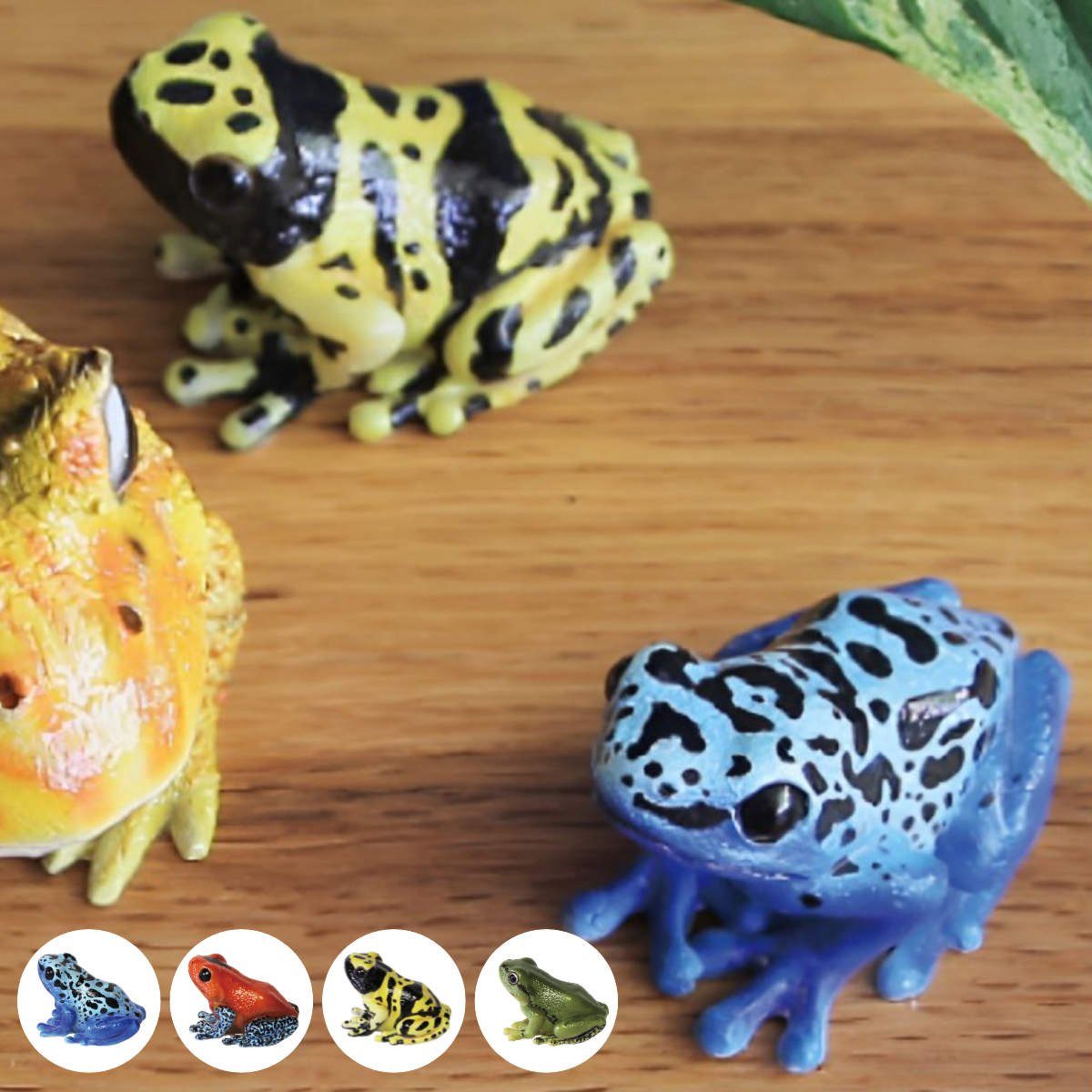 オブジェ REPTILES MAG ヤドクガエル アマガエル （ クリップホルダー