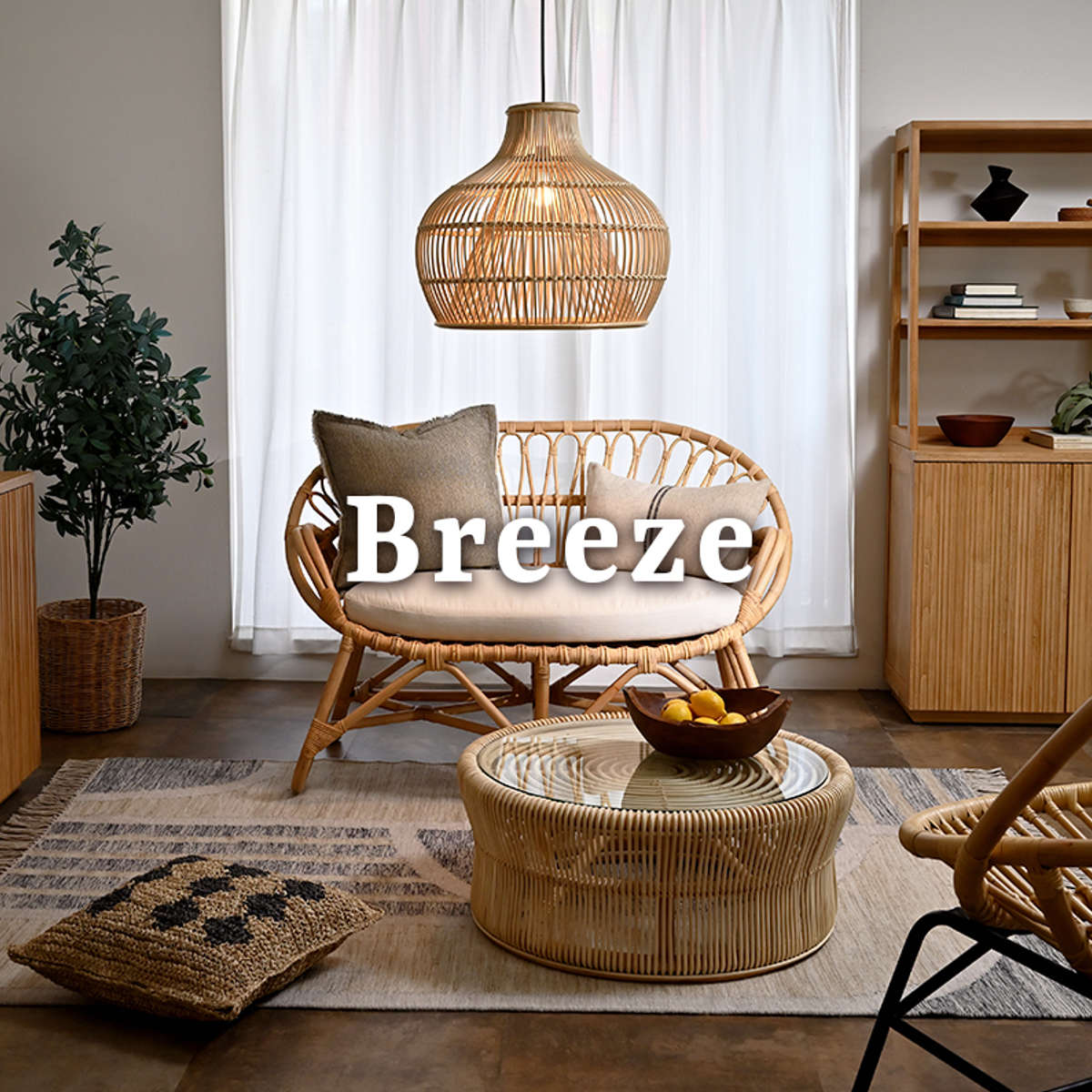 ダイニングチェア ラタン 座面高45cm クッション付 Breeze （ ラタン