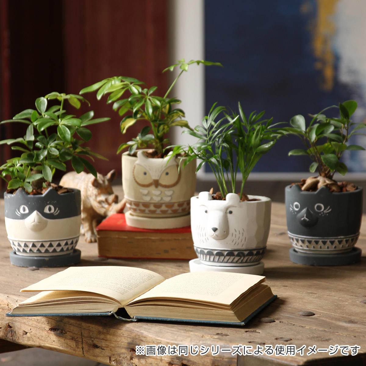 dショッピング |植木鉢 アニマルプランター ホワイトベアー