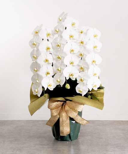 Poo2NFxWxHuP3fVdsqNlmeR8W3WiB3