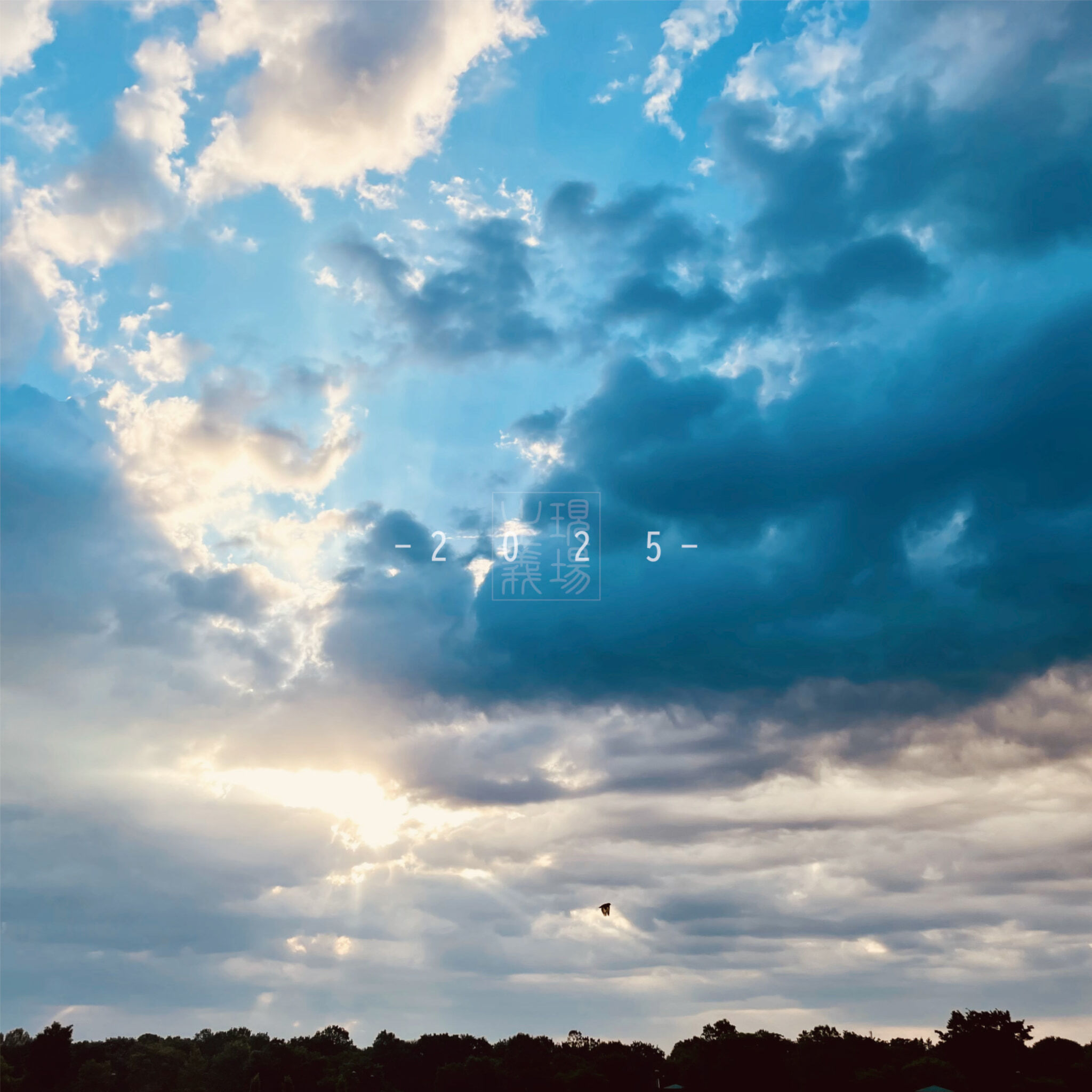 2月16日(月)発売】2 0 2 5 | Various Artists | LONG PARTY RECORDS